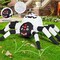 GOOSH 5 FT Width Halloween Inflatables Outdoor Decorations Spider with Magic LED Lighting